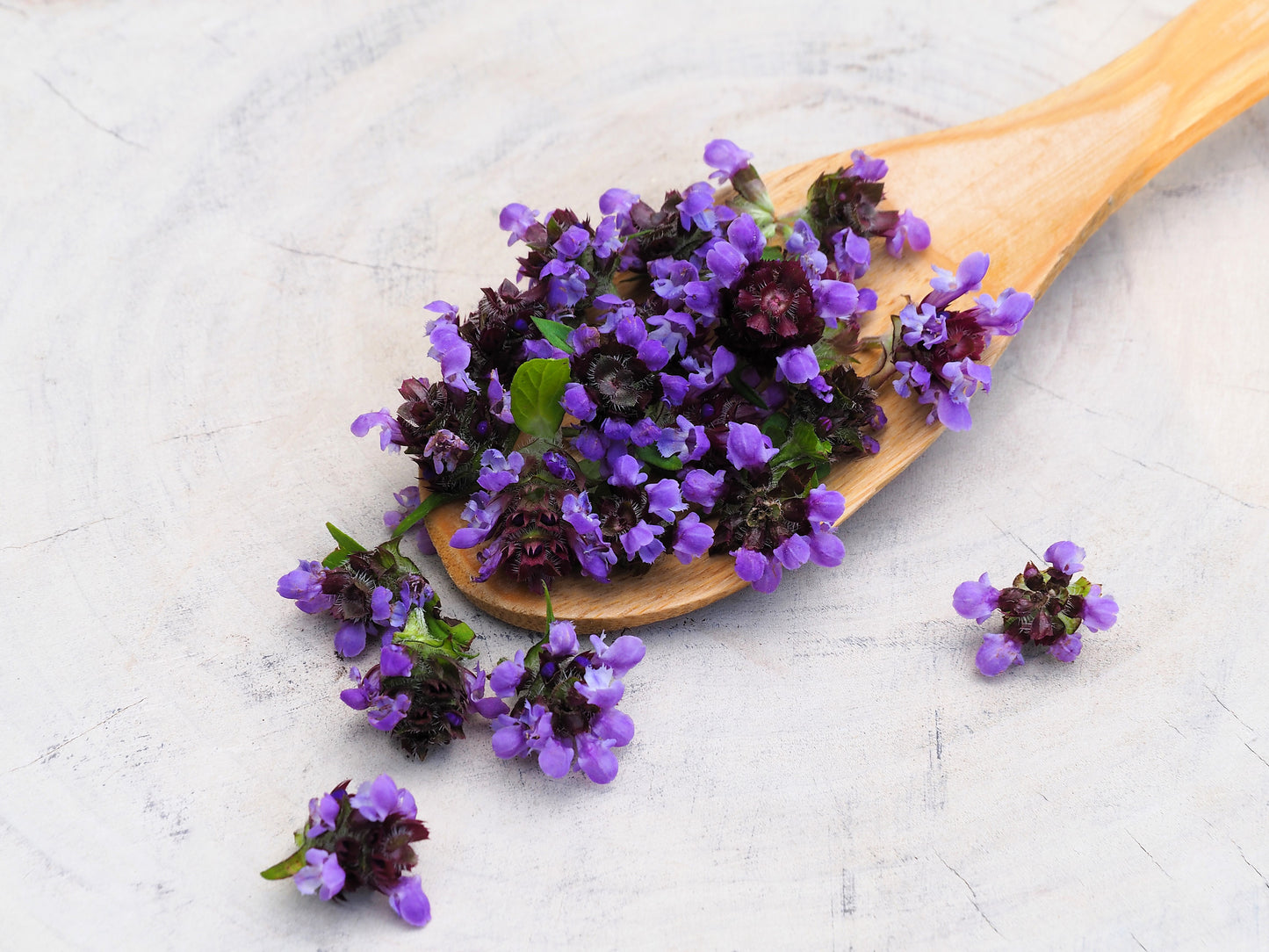 100 HEAL ALL Self Heal Prunella Vulgaris Purple Herb Flower Seeds