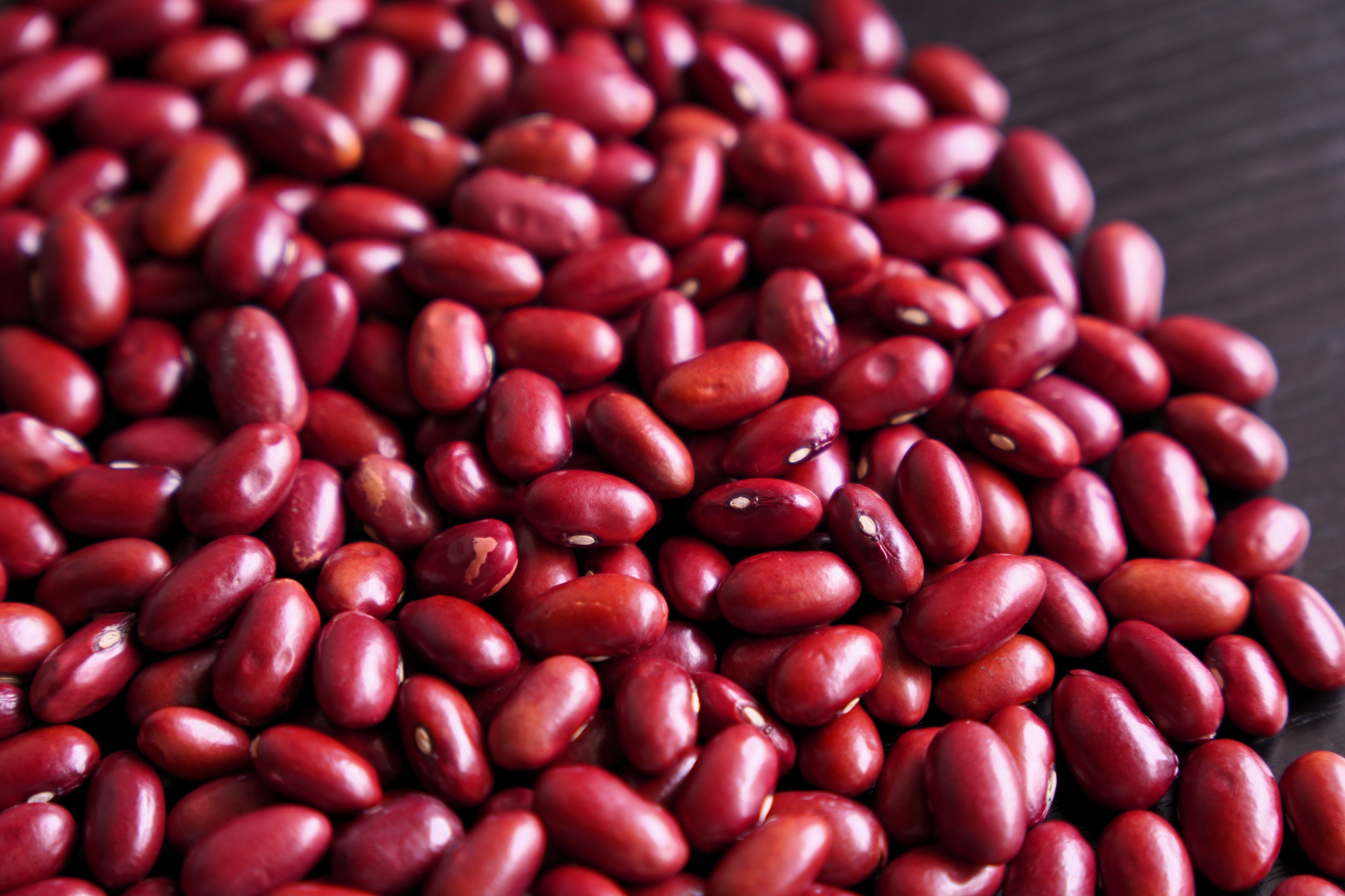 red beans seeds for planting 50 Organic SMALL RED BEAN Phaseolus Vulgaris Vegetable Seeds – Seedville USA
