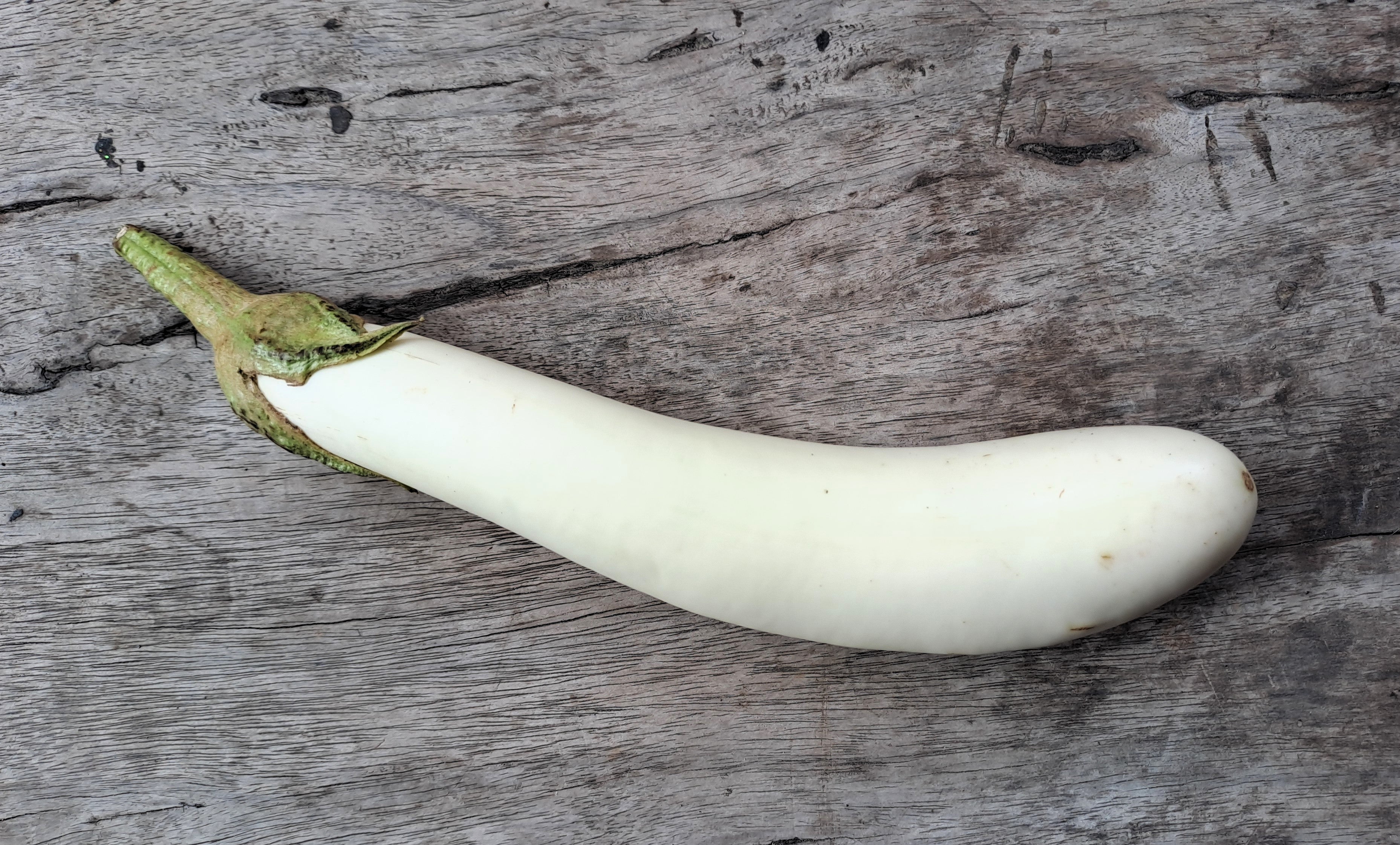 water eggplant shutterstock_2481768729.jpg?v=