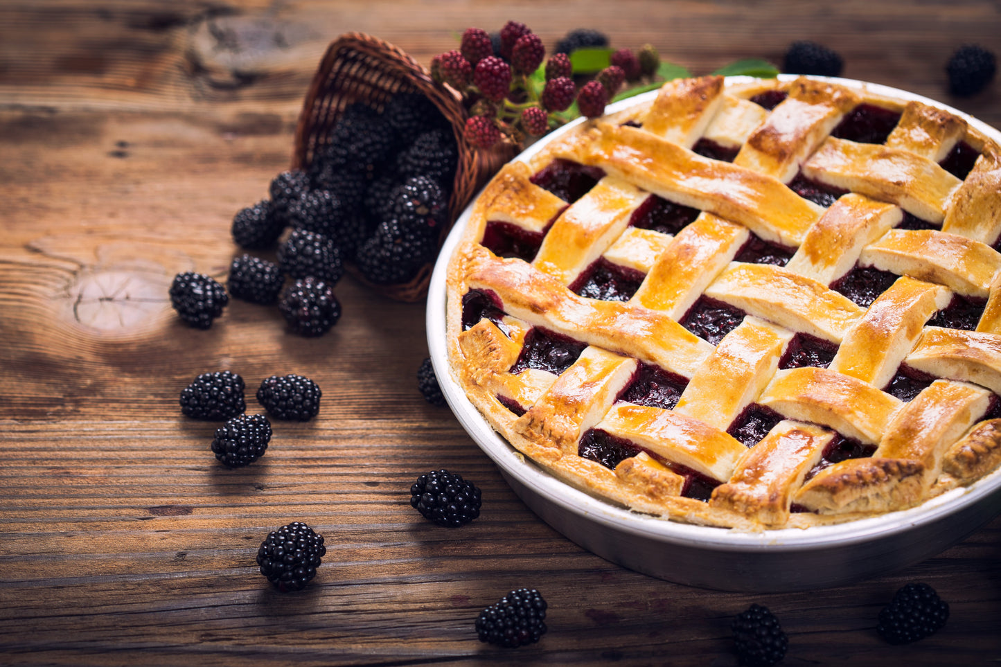 100 BLACKBERRY Fruit Bush Rubus Allegheniensis Seeds