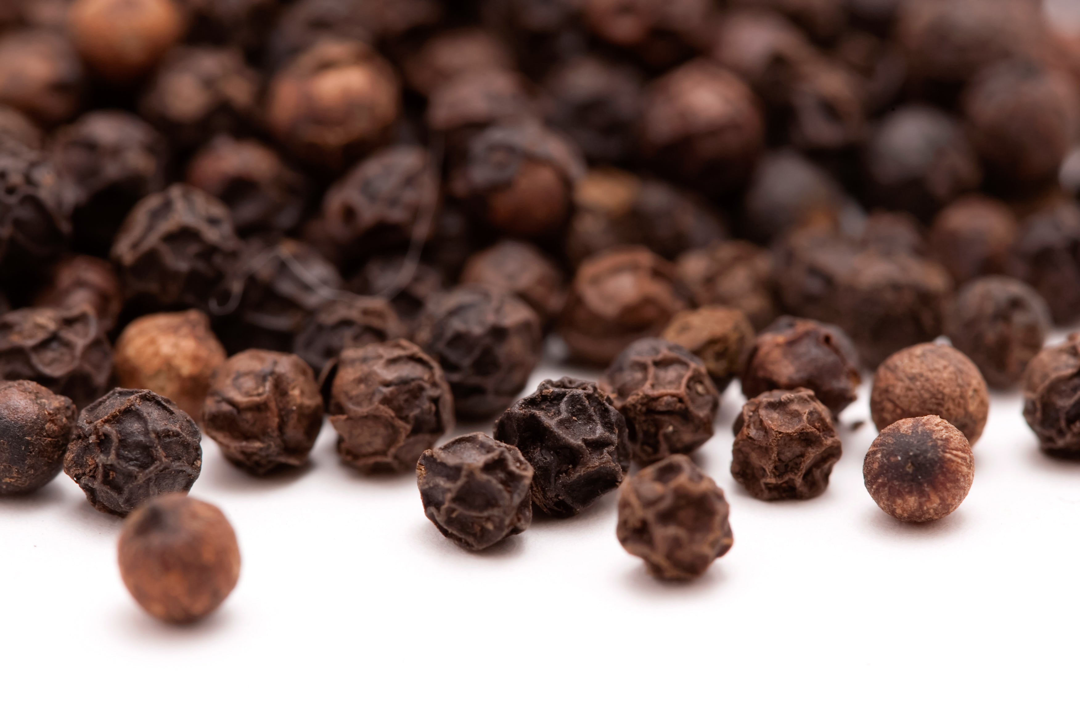 black pepper plant seeds 25 BLACK PEPPERCORN Black Pepper Piper Nigrum Spice Vine Seeds – Seedville USA