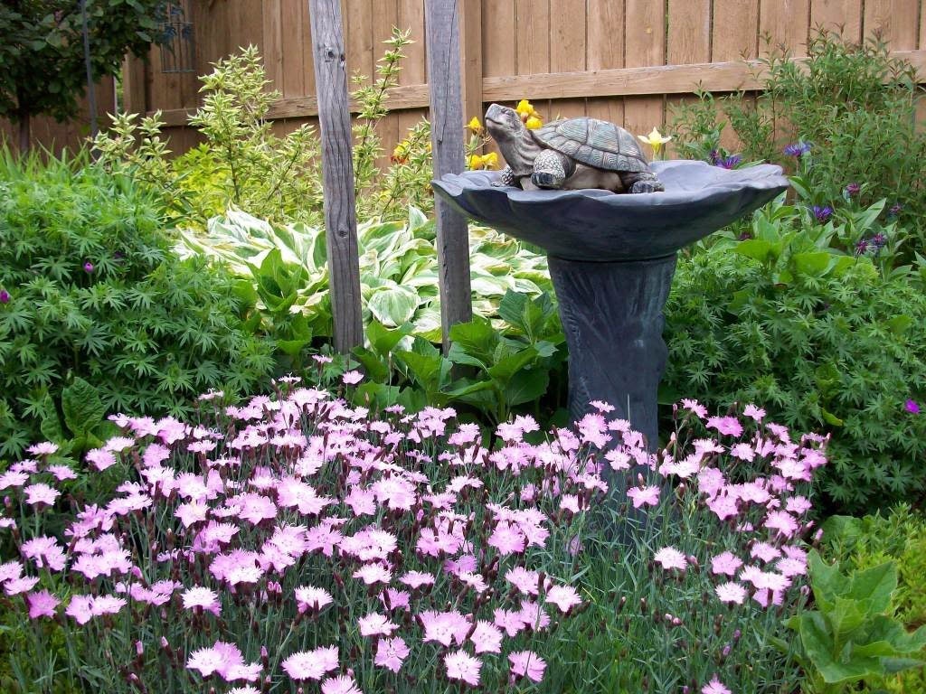 200 COTTAGE PINKS (Garden, Laced, or Feathered Pink) Dianthus Plumarius Flower Seeds