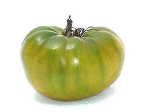 50 GREEN ZEBRA TOMATO Striped Lycopersicon Fruit Vegetable Seeds