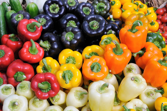 150 RAINBOW BELL PEPPER Sweet Red, Green, Yellow, Orange, Purple, Brown, & White Capsicum Annuum Vegetable Seeds