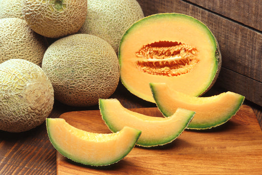 200 IROQUOIS CANTALOUPE Melon Fruit Cucumis Melo Seeds