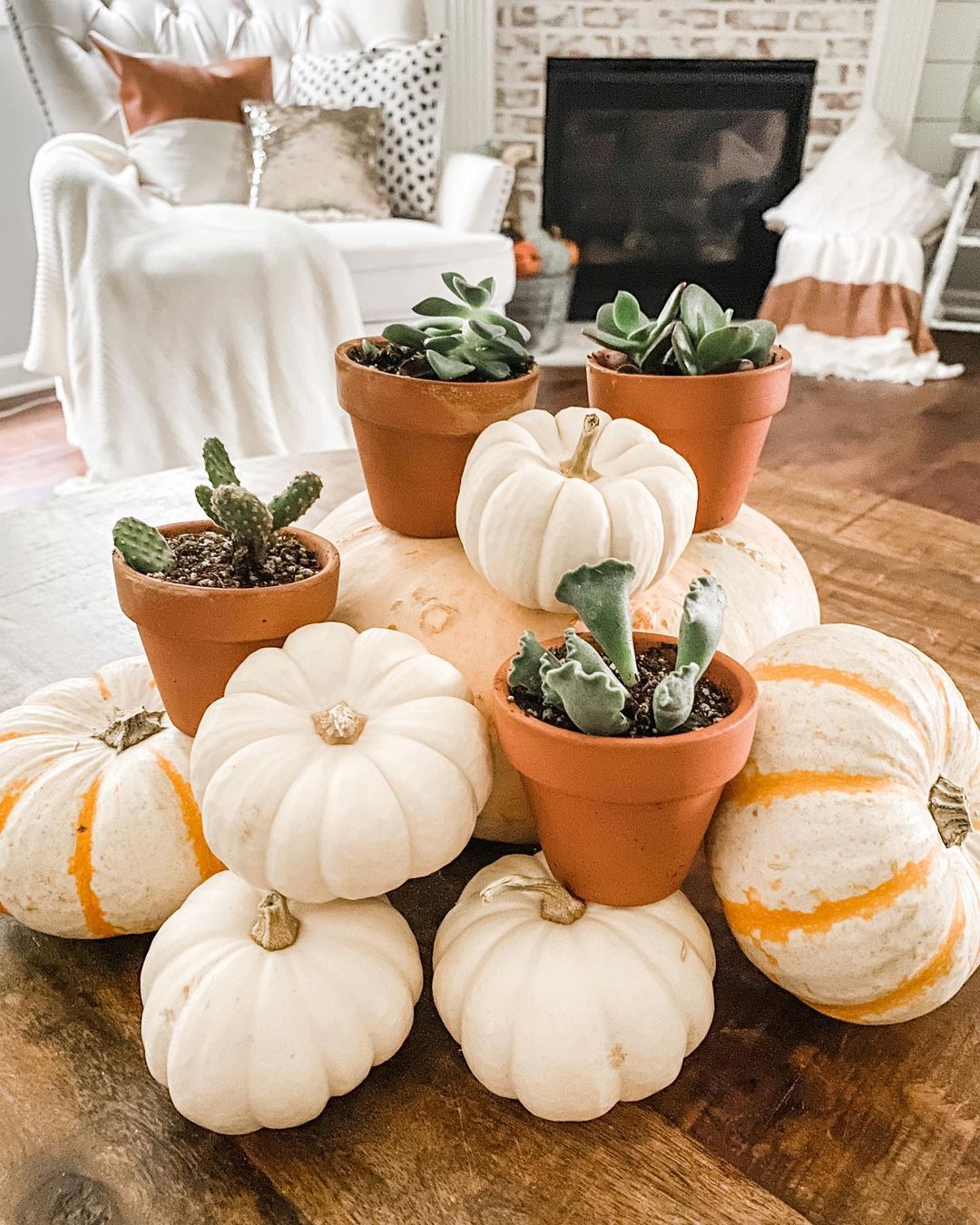 2.5'' Terracotta Pot