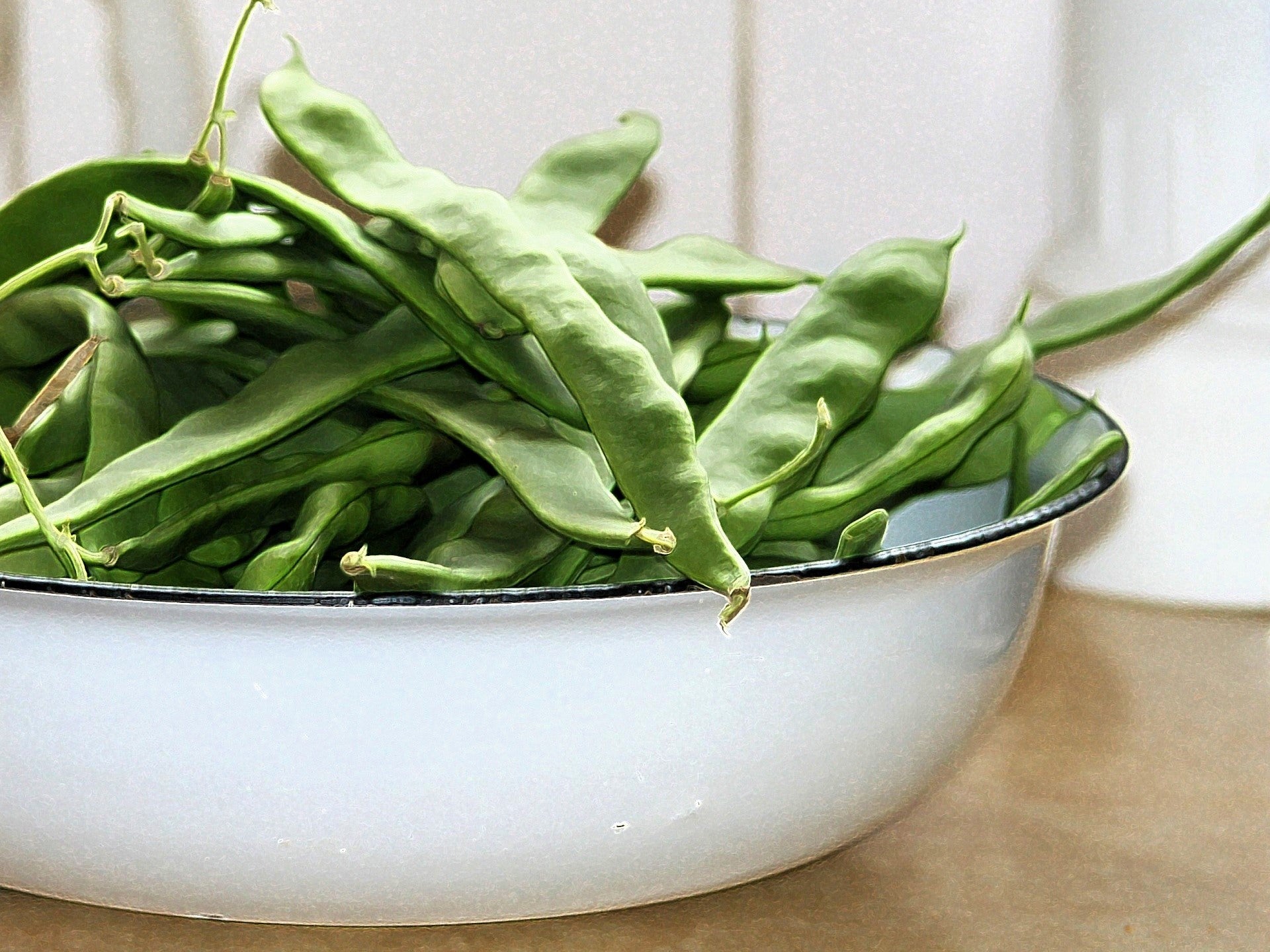 Italian Roma Bush 50 ROMANO BUSH BEAN Italian Flat Green Pod Phaseolus Vulgaris Vegetabl ...