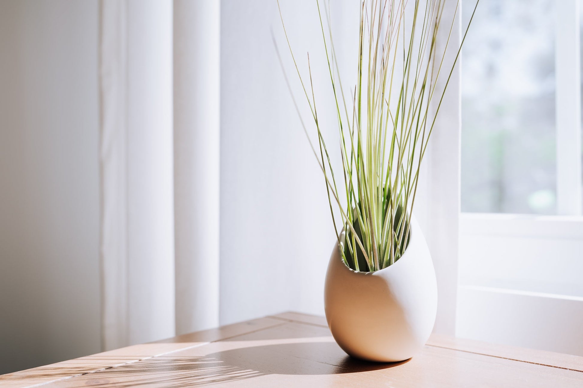 large ceramic hanging planter Large Ivory Ceramic Hanging Planter With Flat Bottom