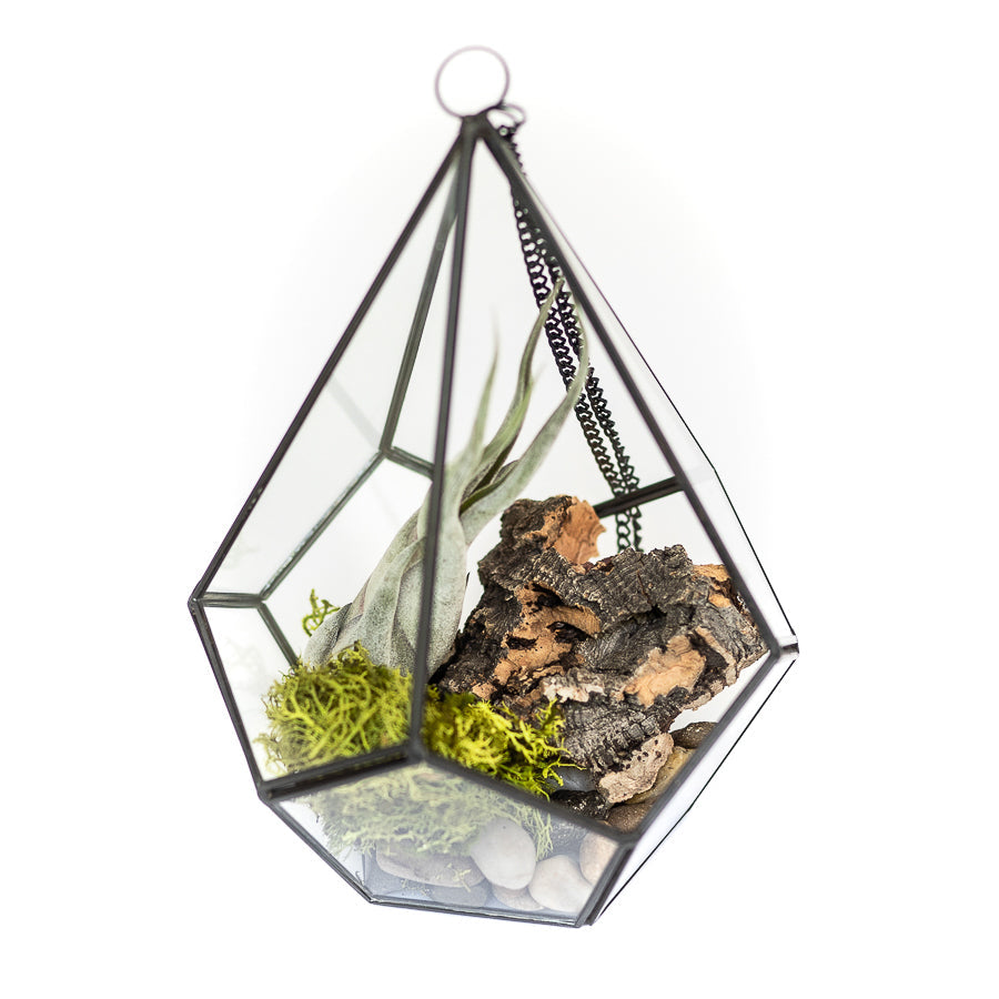 DIY Glass Diamond Terrarium