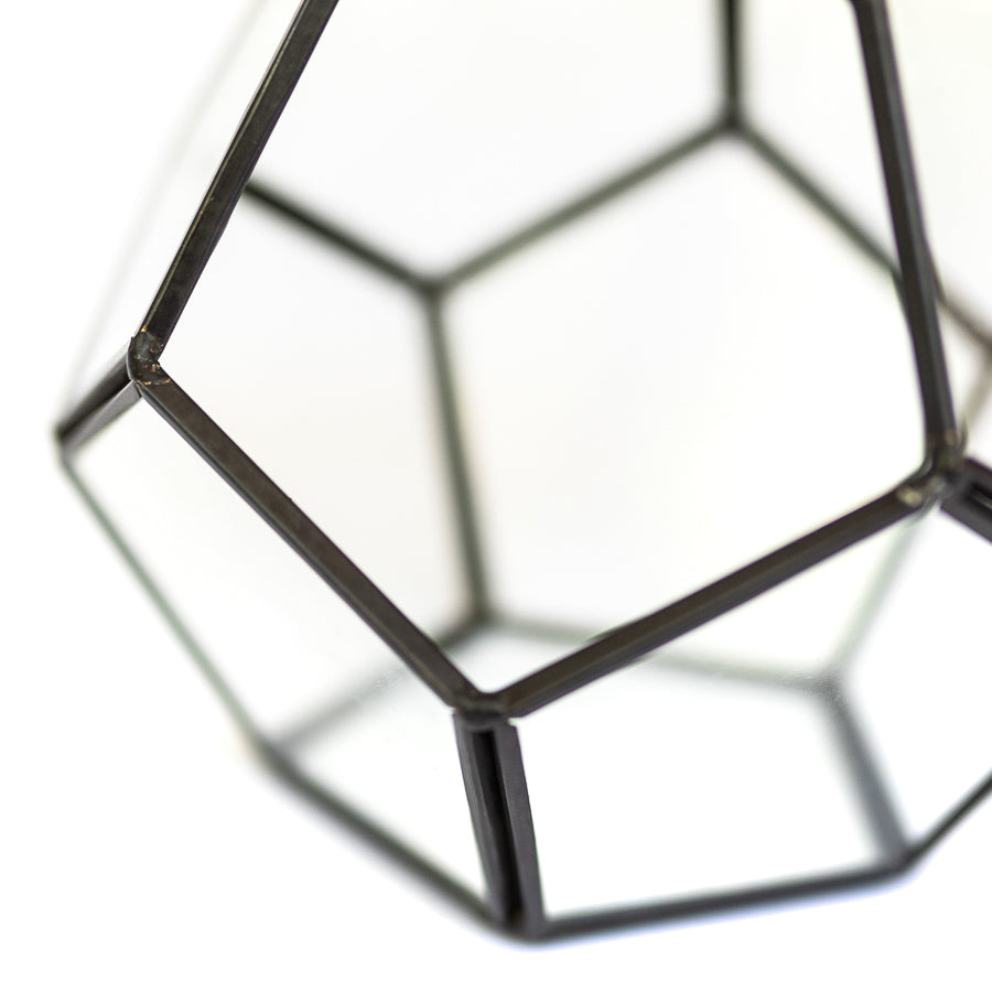 Glass Pentagon Terrarium