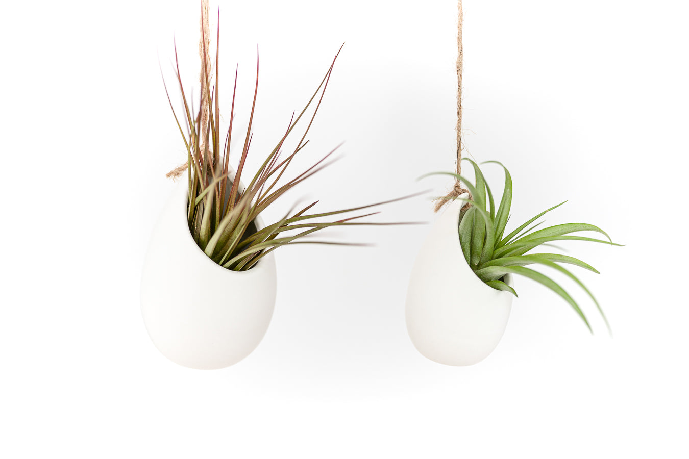large flat pots for plants Large Ivory Ceramic Hanging Planter With Flat Bottom – Seedville USA