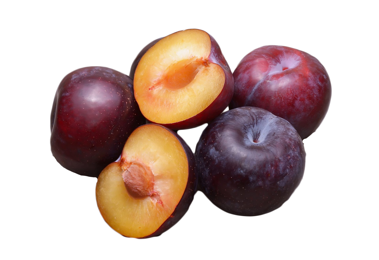 5 AMERICAN PLUM Prunus Americana Red Purple Fruit White Flower Shrub Tree Seeds