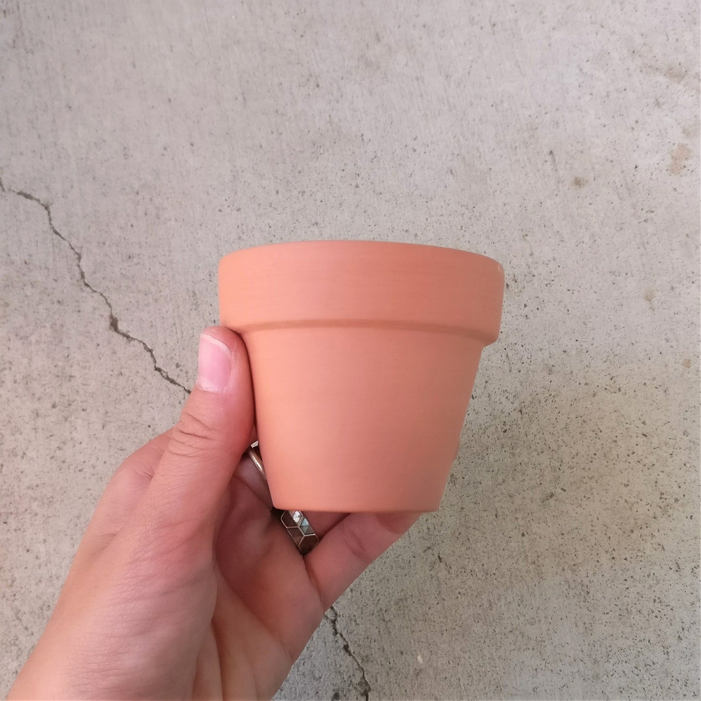 2.5'' Terracotta Pot