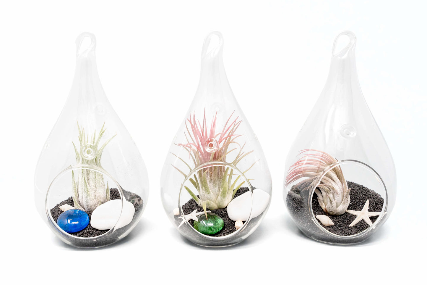 Set of 3 Teardrop Beach Terrariums with Black Sand