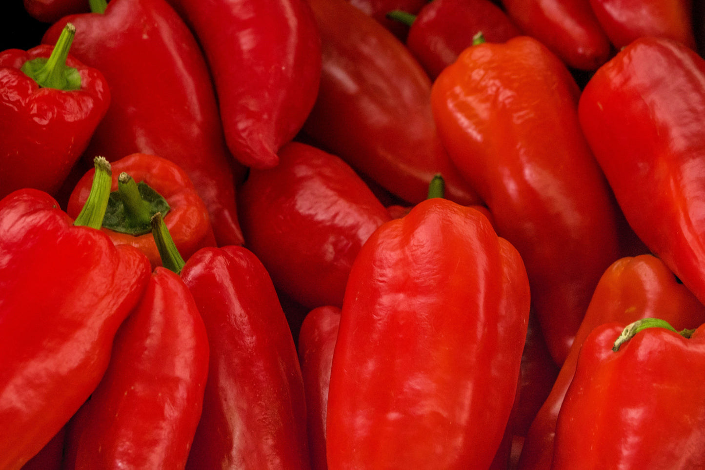 60 RED MARCONI PEPPER Rossa Large Sweet Italian Frying Capsicum Annuum Seeds