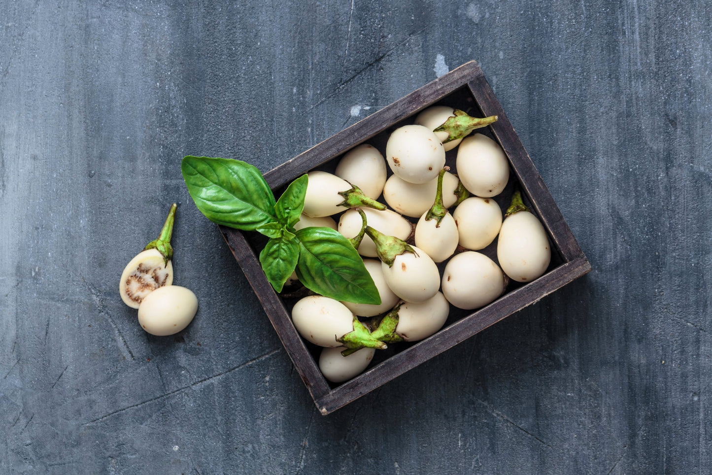 easter egg plant seeds 30 EASTER EGG PLANT (Easter Eggplant / Ornamental Eggplant / Nest Egg) Solanum Ovigerum Seeds