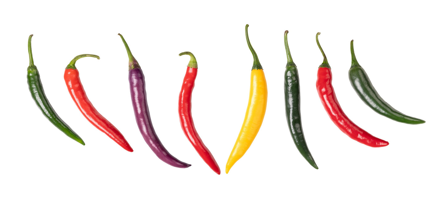 100 MIXED CAYENNE PEPPER Yellow Purple Orange Red Green Capsicum Vegetable Seeds