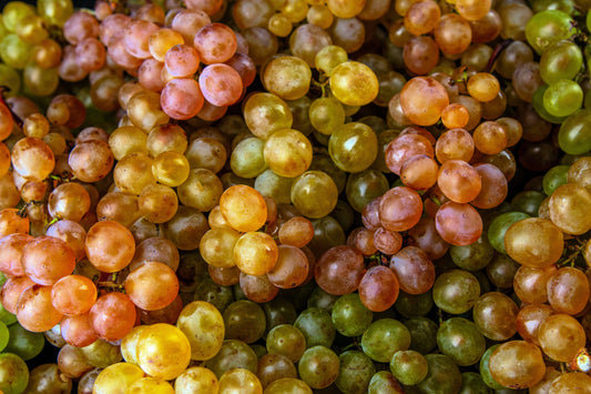 30 WINE GRAPE Vitis Viniferia Domestic Mixed Colors Fruit Vine Seeds