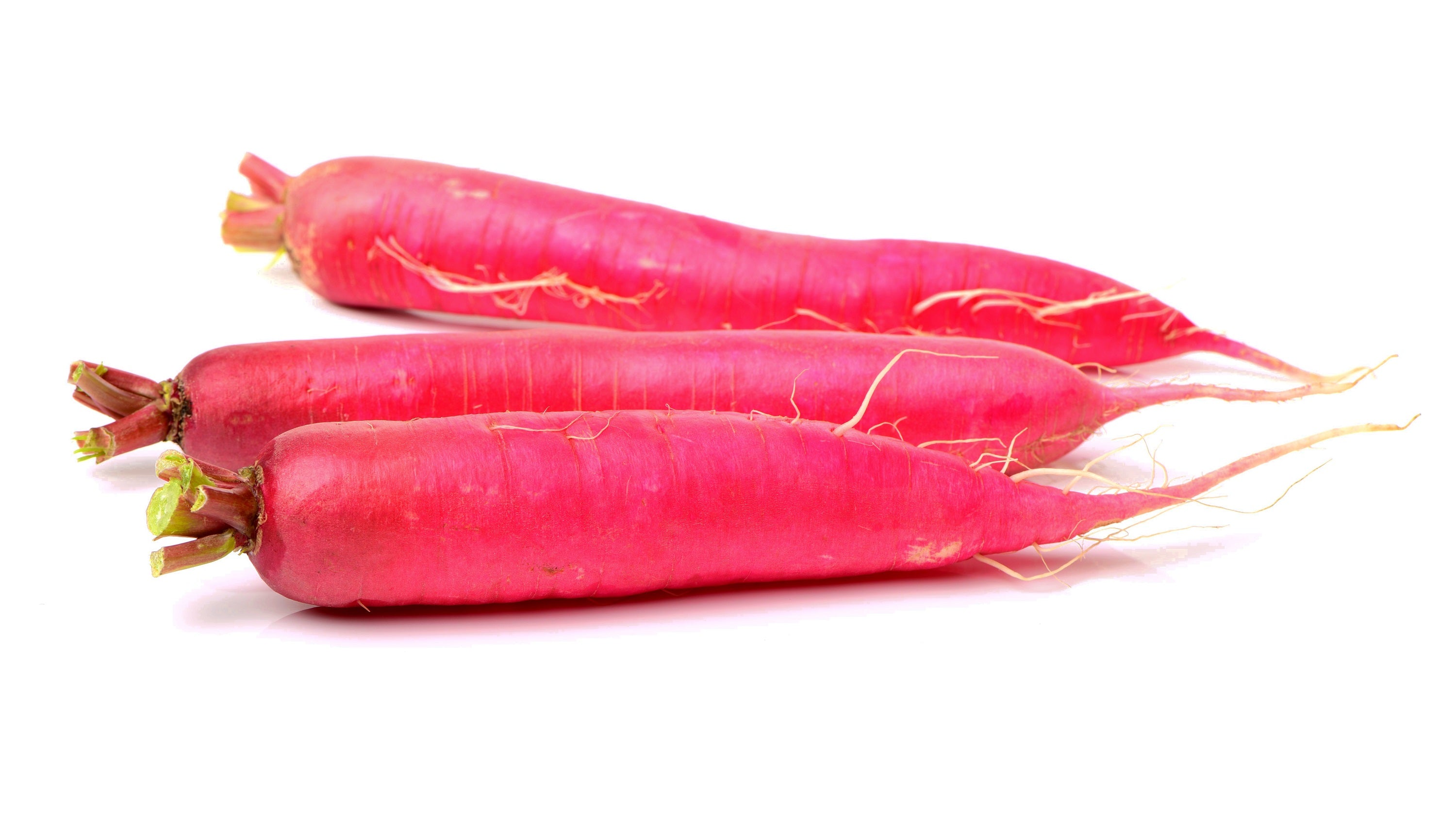 250 RED Arrow SPROUTING RADISH MiniGreen Daikon Raphanus Sativus