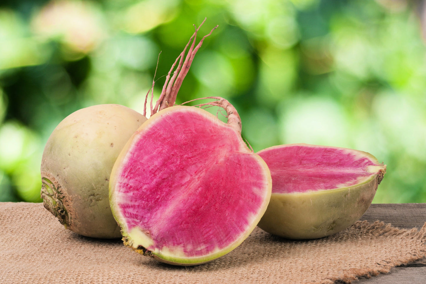 300 WATERMELON RADISH Beauty Heart Raphanus Sativus Pink White Vegetable Seeds