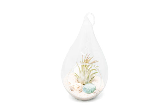 Teardrop Beach Terrarium with White Sand