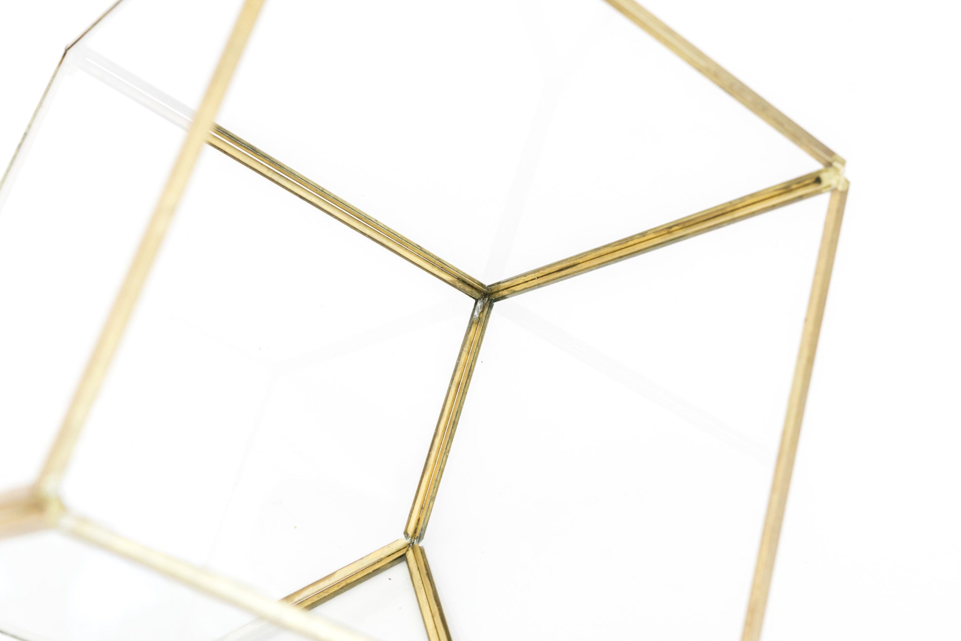 gold geometric succulent terrarium Heptahedron Geometric Glass Terrarium - Gold Metallic Finish