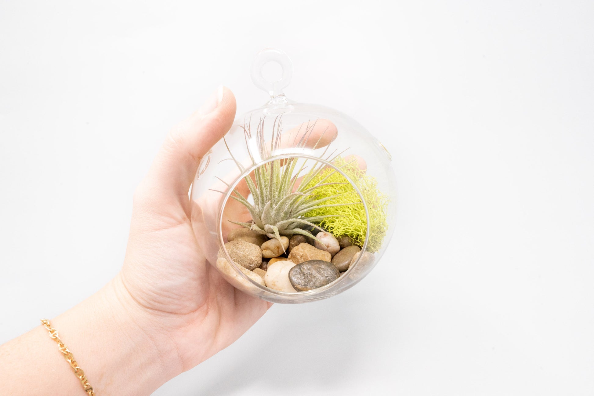 hanging plant terrarium kit Set of 3 Stunning Hanging Glass Terrariums with Flat Bottoms – Seedville USA