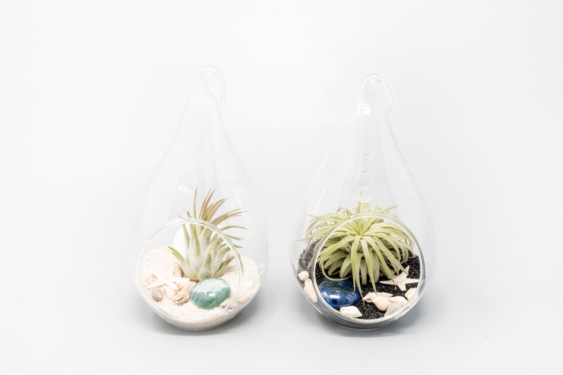 air plant kits for sale SALE - Teardrop Glass Terrariums - Set of 6 or 12