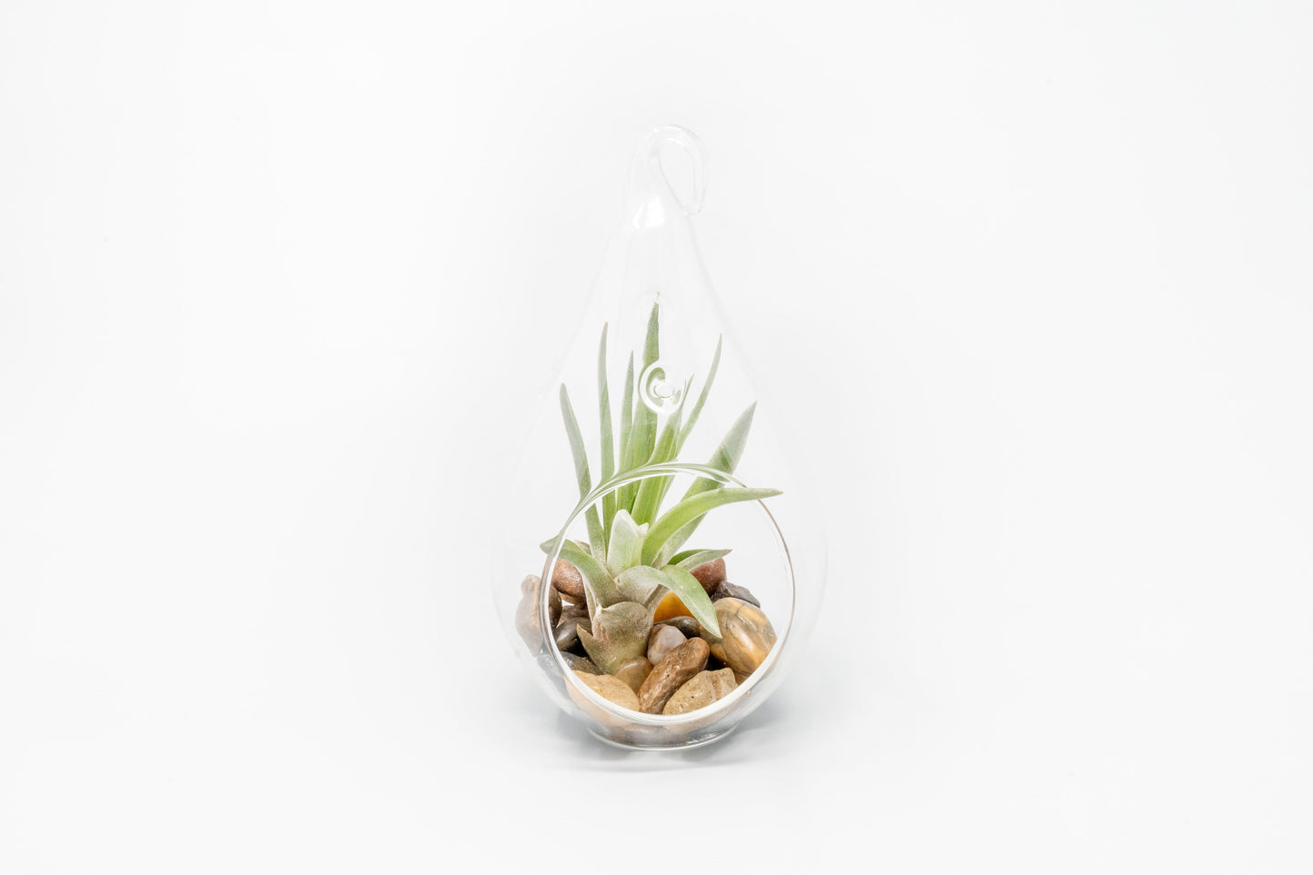 SALE - Set of 3 Airy Teardrop Terrariums with Flat Bottoms