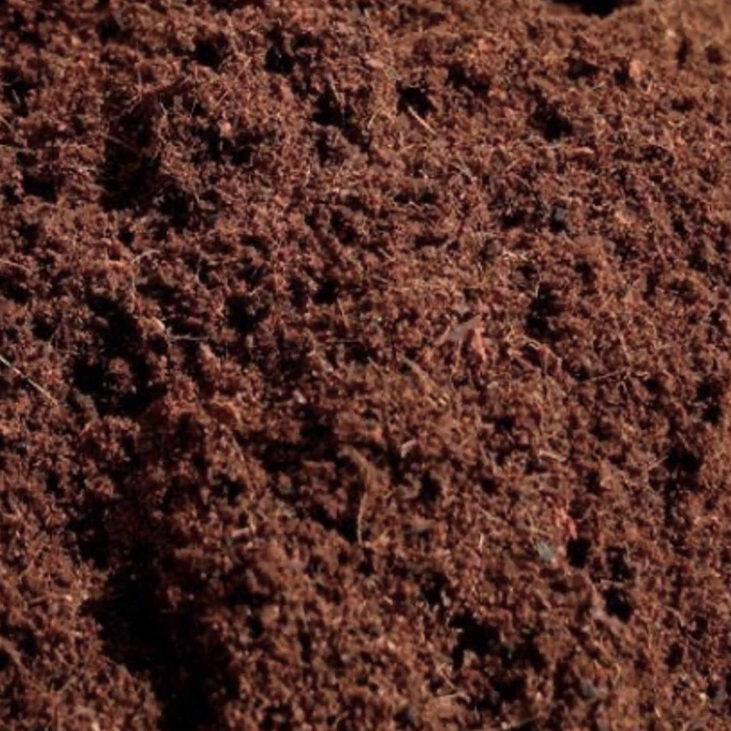 Coco Coir Mushroom Substrate & Casing Layer