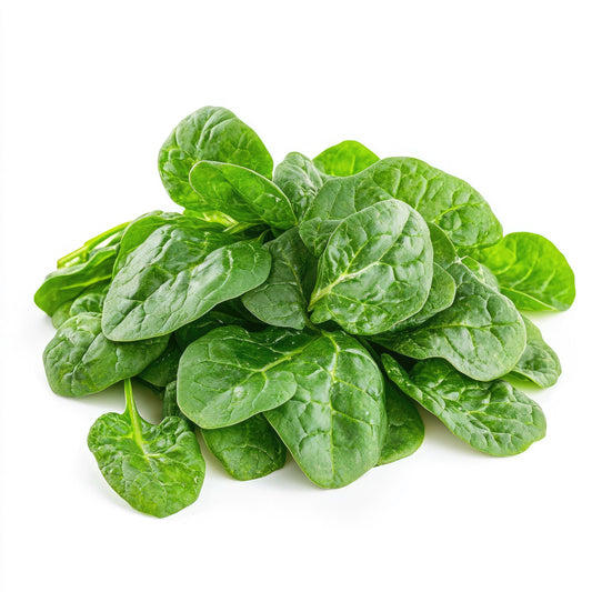 50 BIG ROUND LEAF MALABAR SPINACH Vine Ceylon Basella Alba Vegetable Seeds