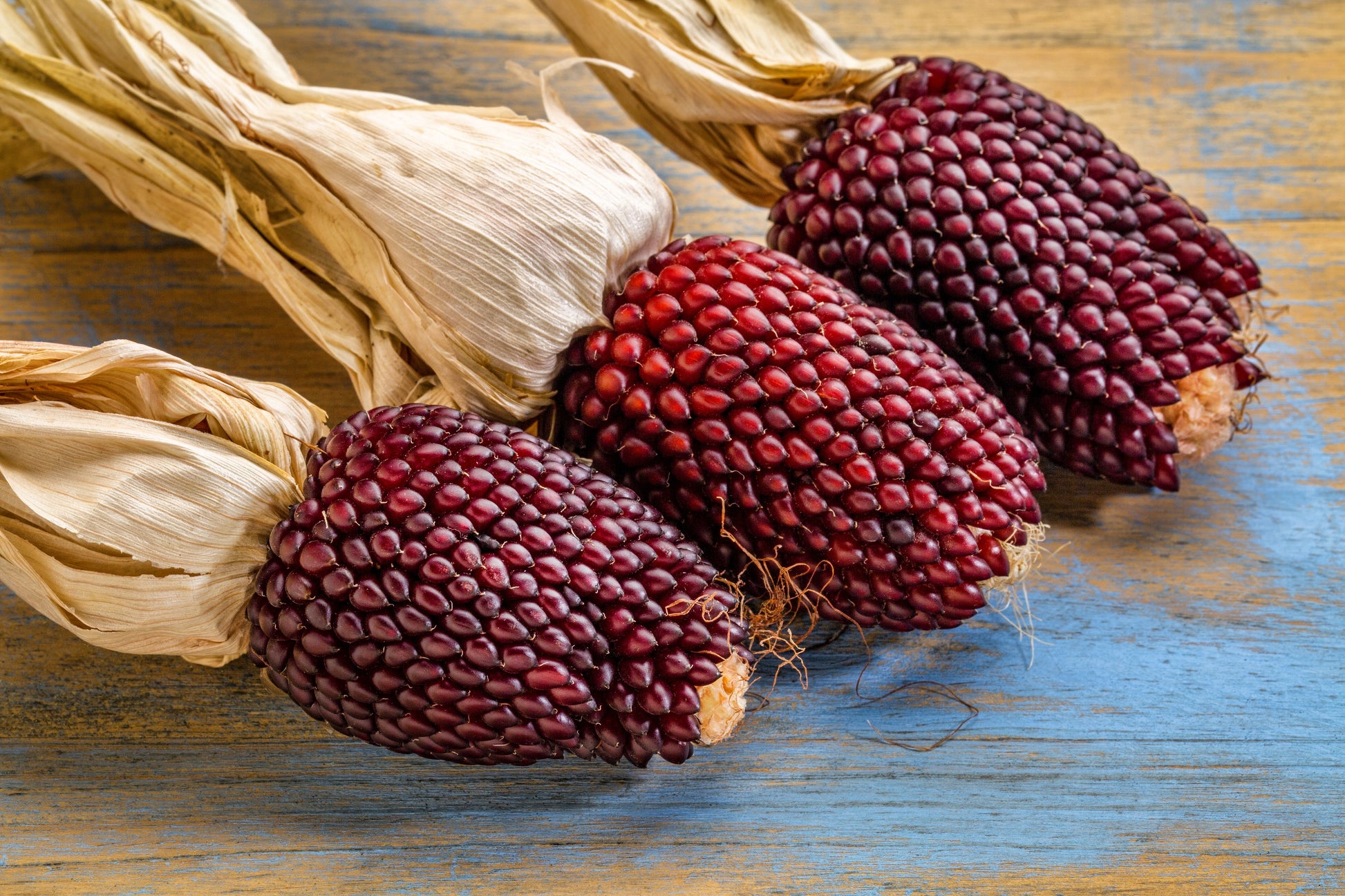 purple strawberry seeds 150 Red STRAWBERRY POPCORN CORN Zea Mays Vegetable Seeds – Seedville USA