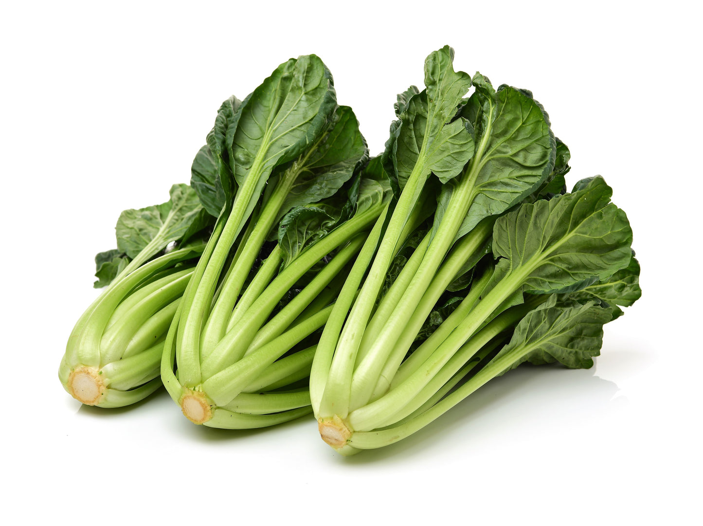 1000 TATSOI Brassica Rapa Rosularis Tat Soi Bok Choy Spinach Mustard Vegetable Seeds