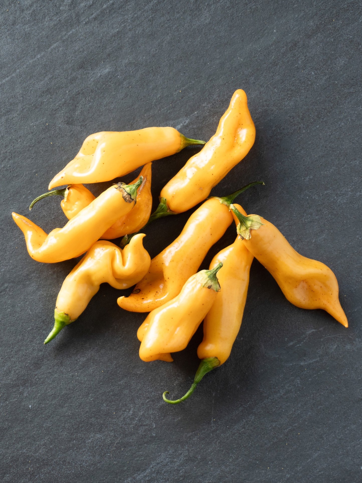25 Aji SUGAR RUSH PEACH PEPPER Hot Sweet Fruity Capsicum Baccatum Vegetable Seeds
