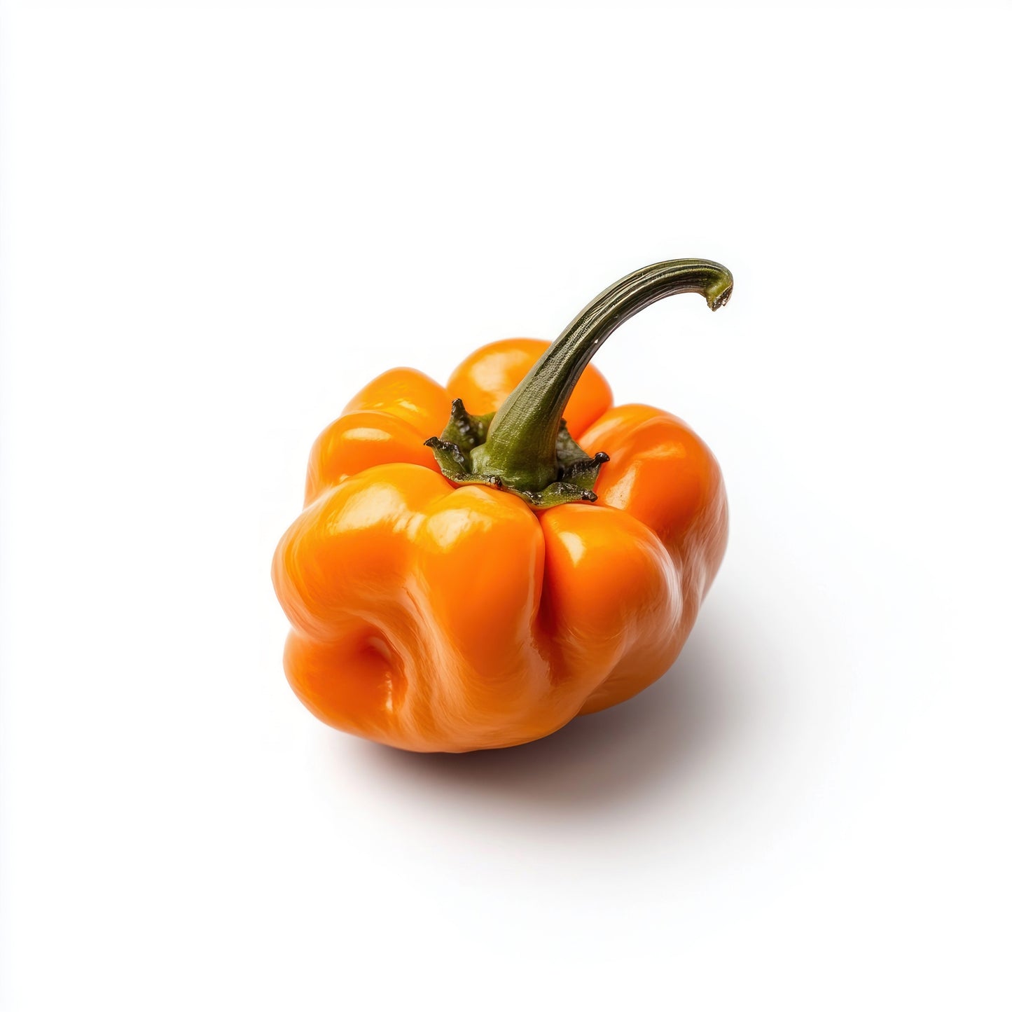 40 Orange SCOTCH BONNET PEPPER very hot Jamaican Capsicum Chinense Vegetable Seeds