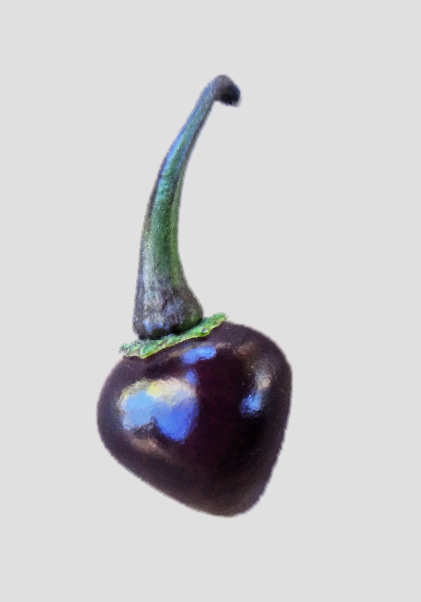 50 Variegated PURPLE TIGER PEPPER Trifetti Tricolor Capsicum Annuum Medium Hot Vegetable Seeds