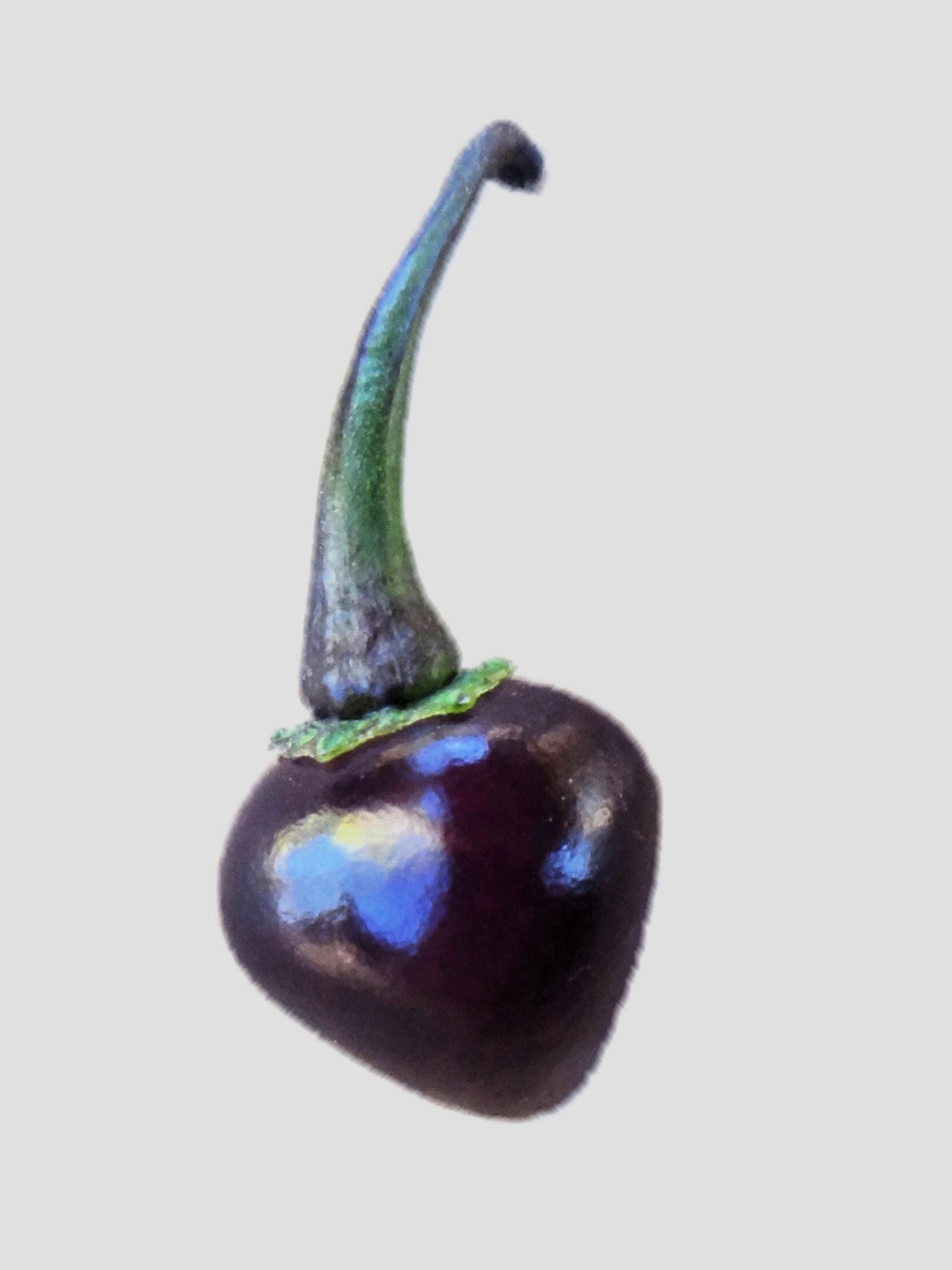 50 Variegated PURPLE TIGER PEPPER Trifetti Tricolor Capsicum Annuum Medium Hot Vegetable Seeds