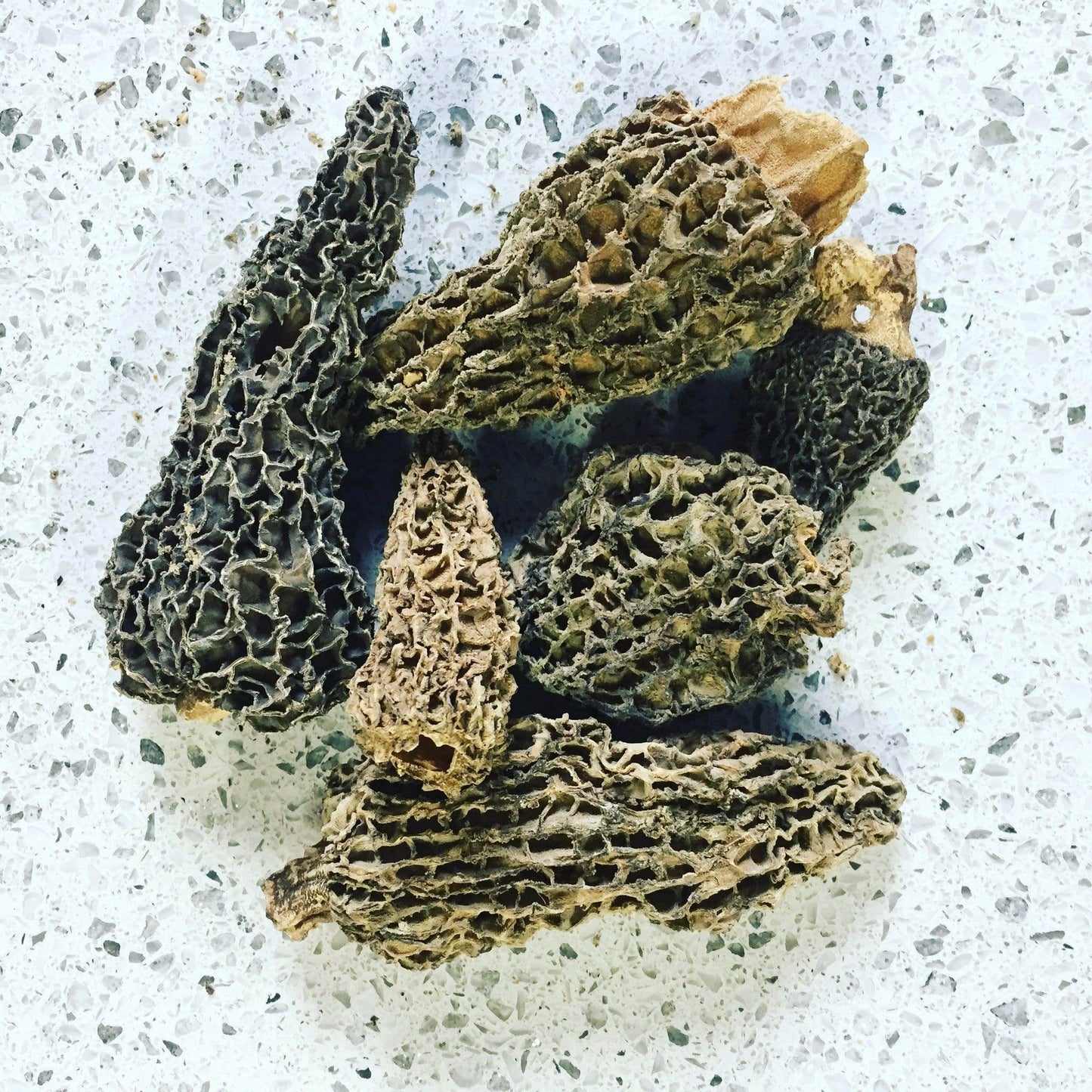 Dried Wild Morel Mushrooms