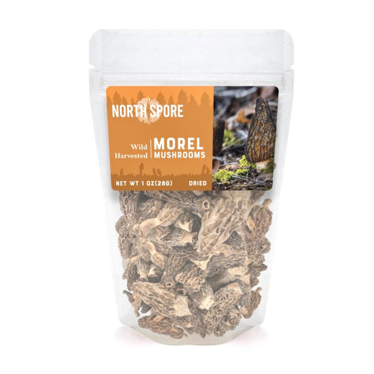 Dried Wild Morel Mushrooms