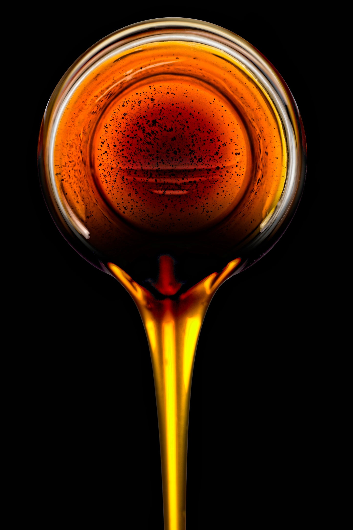 50 HONEY DRIP SORGHUM Bicolor Honey Drop Syrup Grain Vegetable Seeds