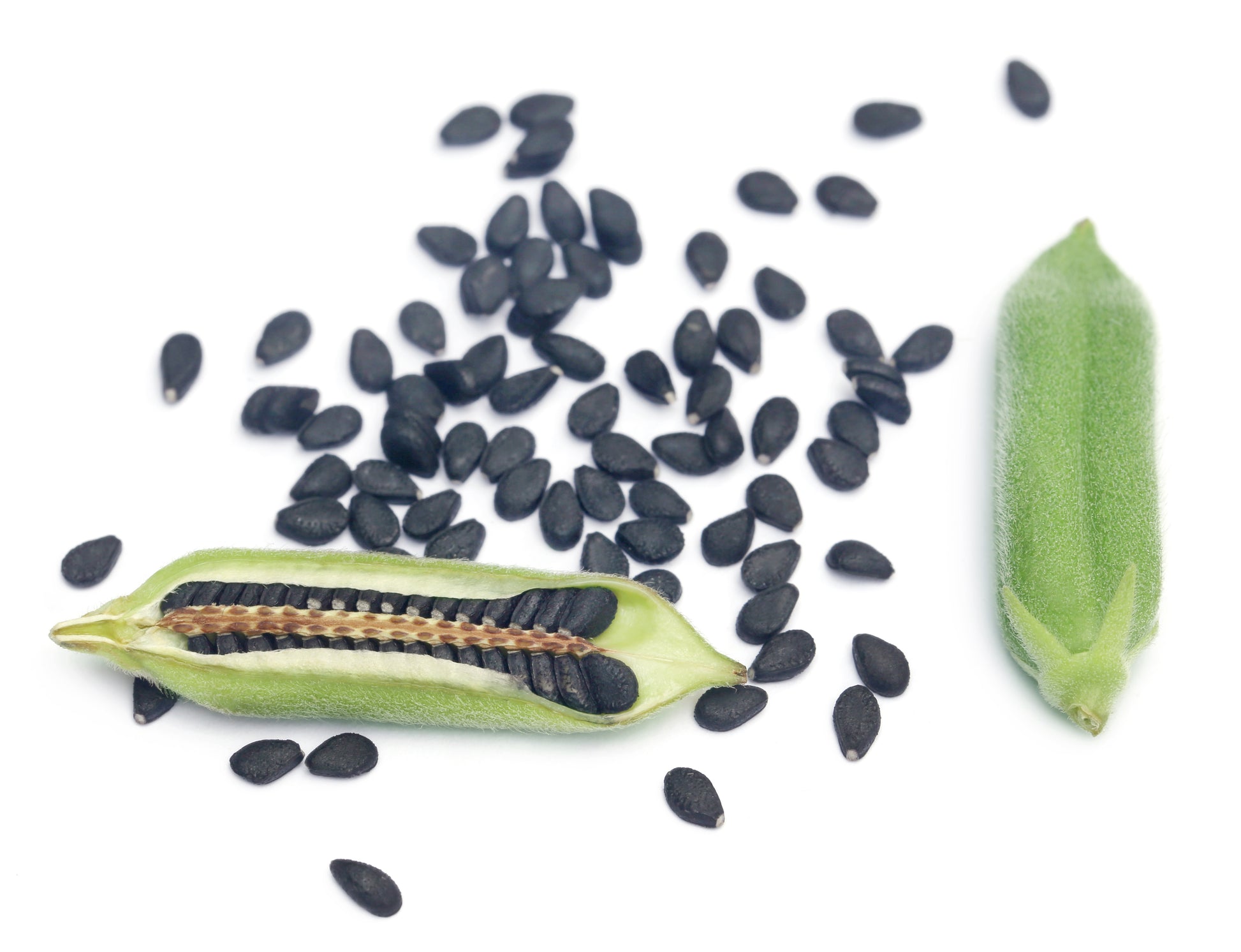 vegetable flower seeds 1500 BLACK SESAME Sesamum Indicum Vegetable Flower Seeds – Seedville USA