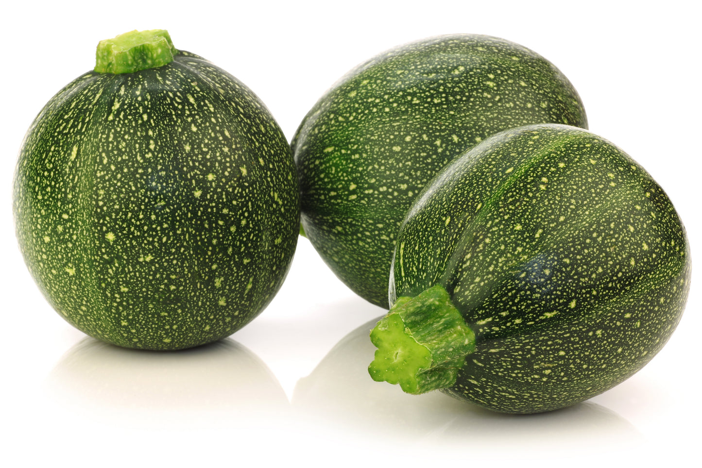 50 ROUND ZUCCHINI Summer SQUASH Cucurbita Pepo Vegetable Seeds