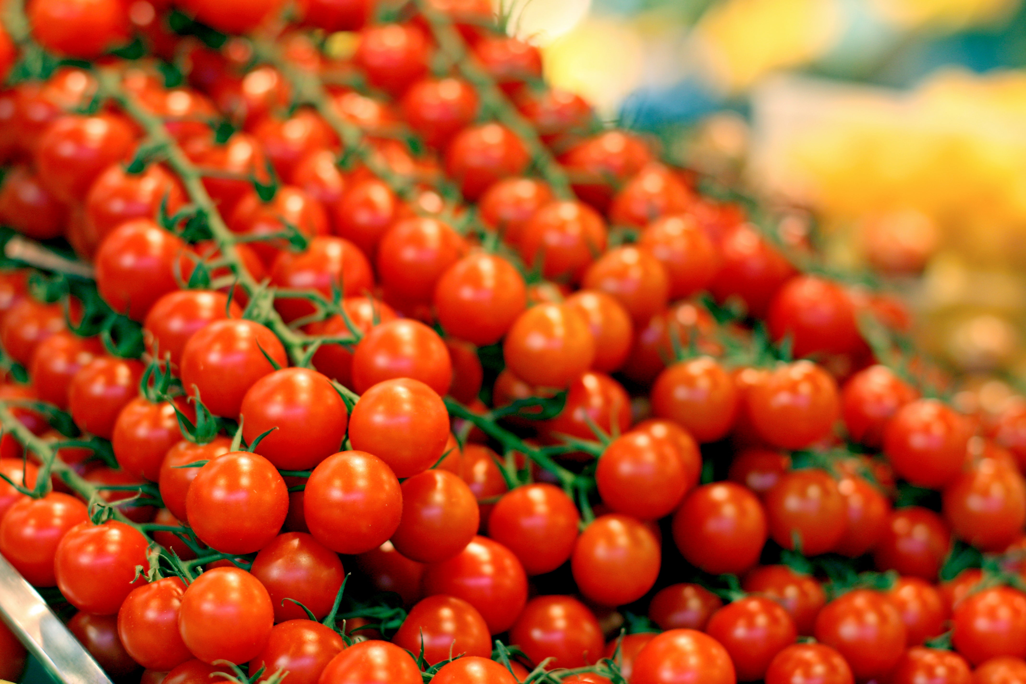 100 Red SWEETIE CHERRY TOMATO Super Sweet 1