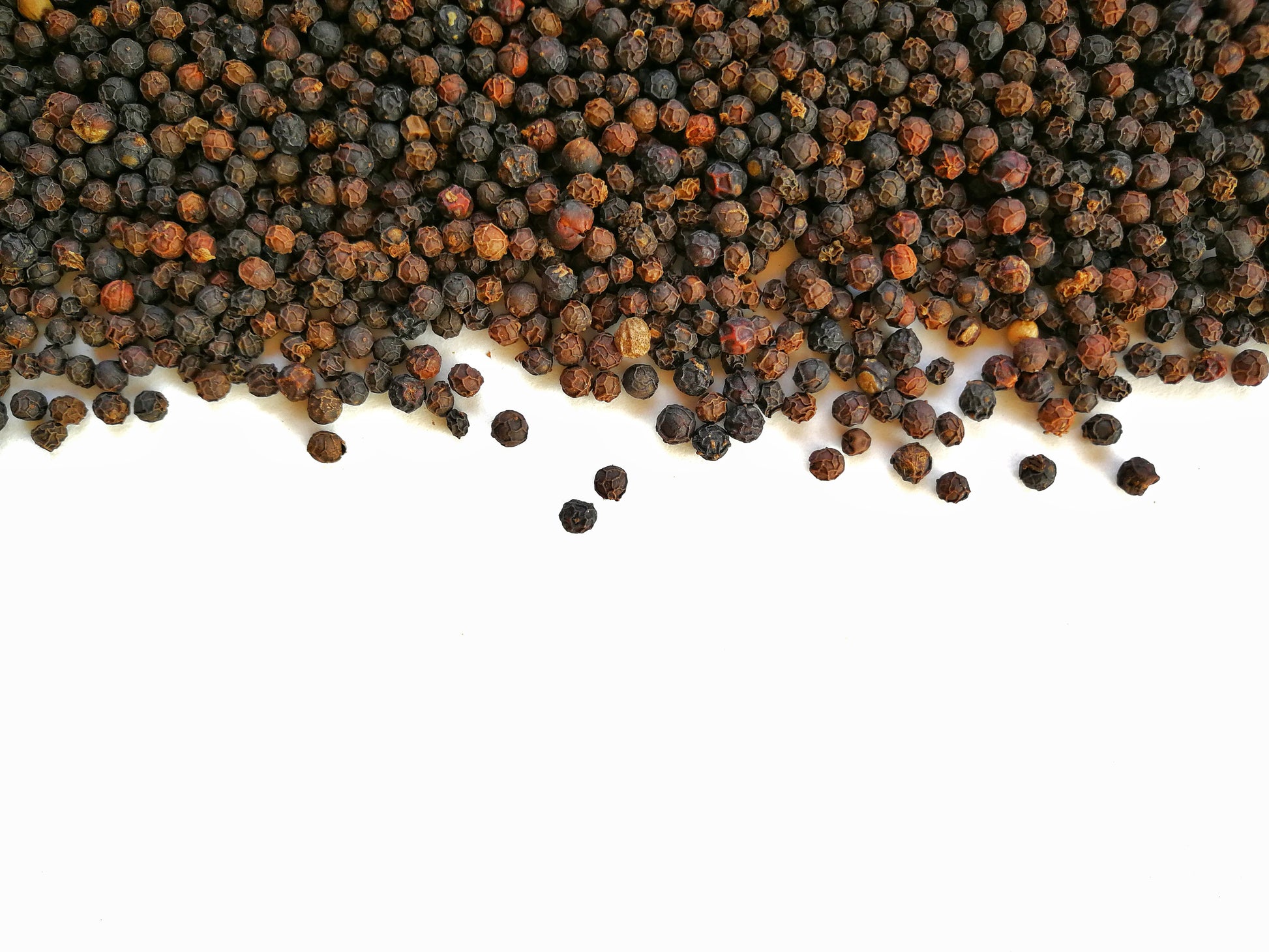 black pepper plant seeds 25 BLACK PEPPERCORN Black Pepper Piper Nigrum Spice Vine Seeds