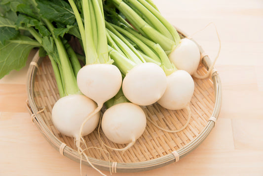 300 WHITE EGG TURNIP Brassica Rapa Vegetable Seeds