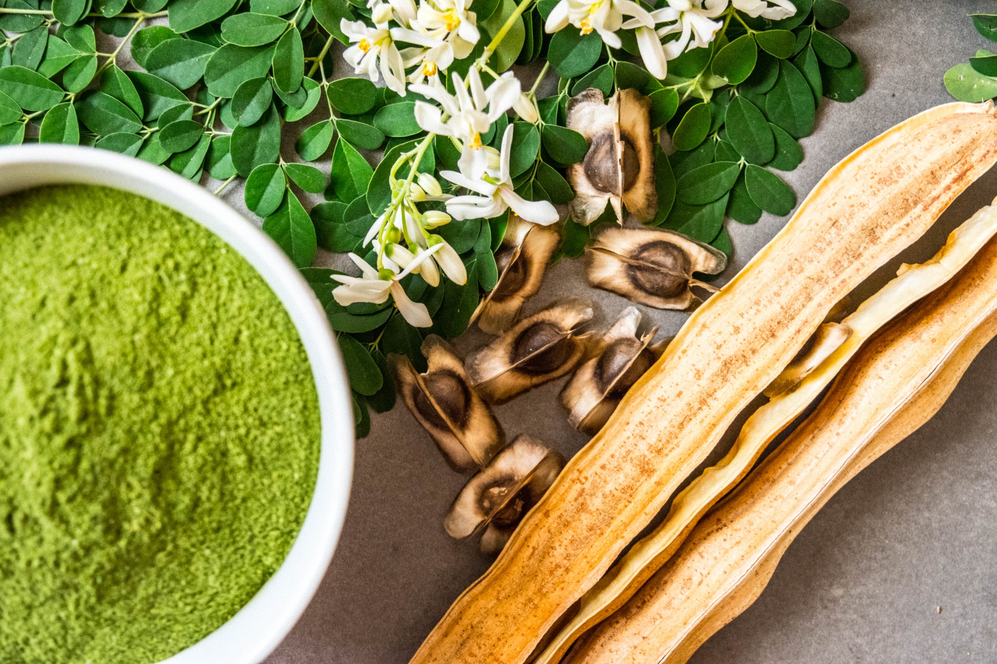 moringa plant seeds for sale 10 Flowering DRUMSTICK TREE Moringa Oleifera Seeds (Miracle Tree / Ben – Seedville USA