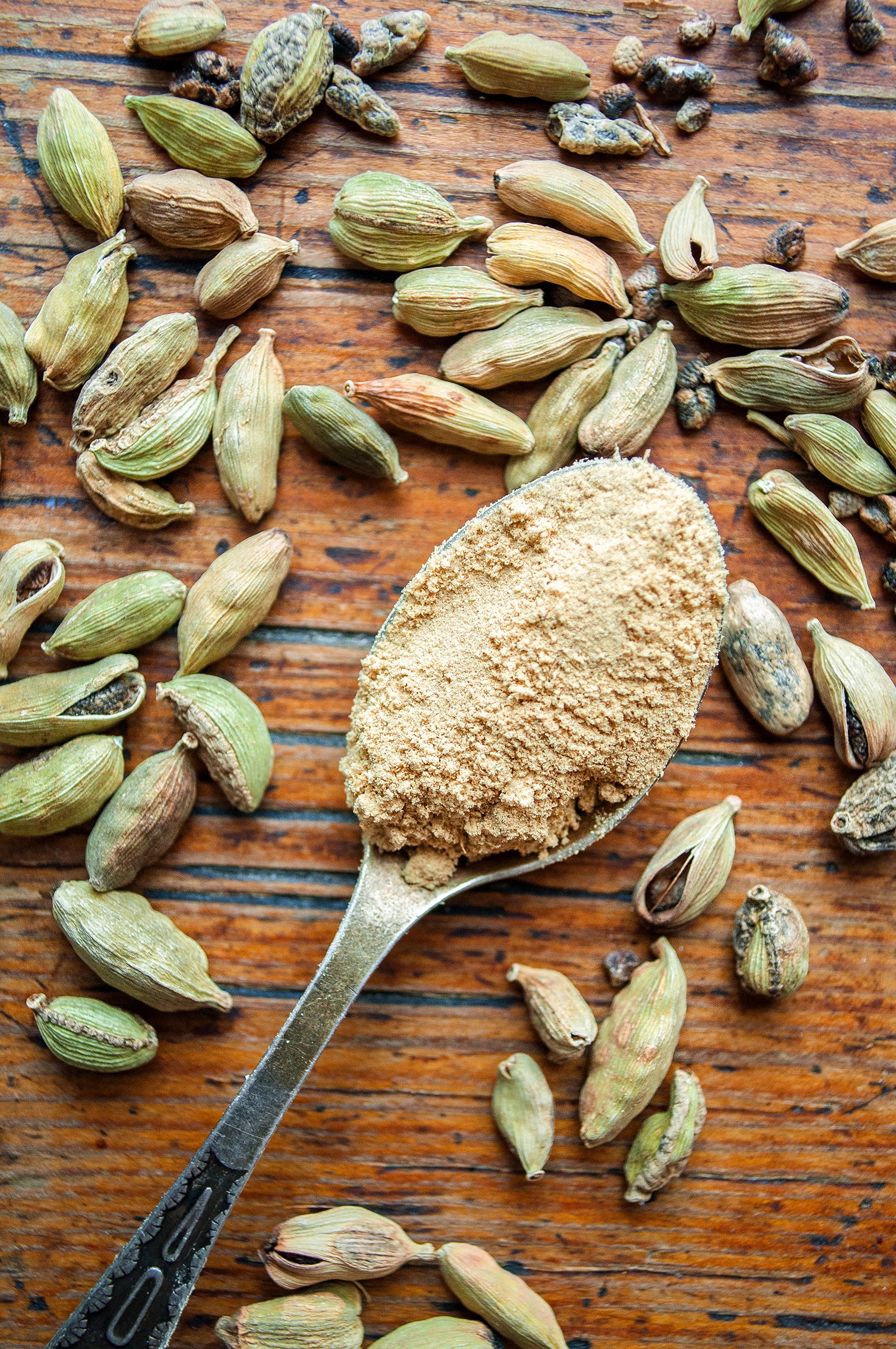 cardamom seeds for planting online 5 CARDAMON CARDAMOM Elettaria Cardamomum HERB Flower Shrub Tree Seeds
