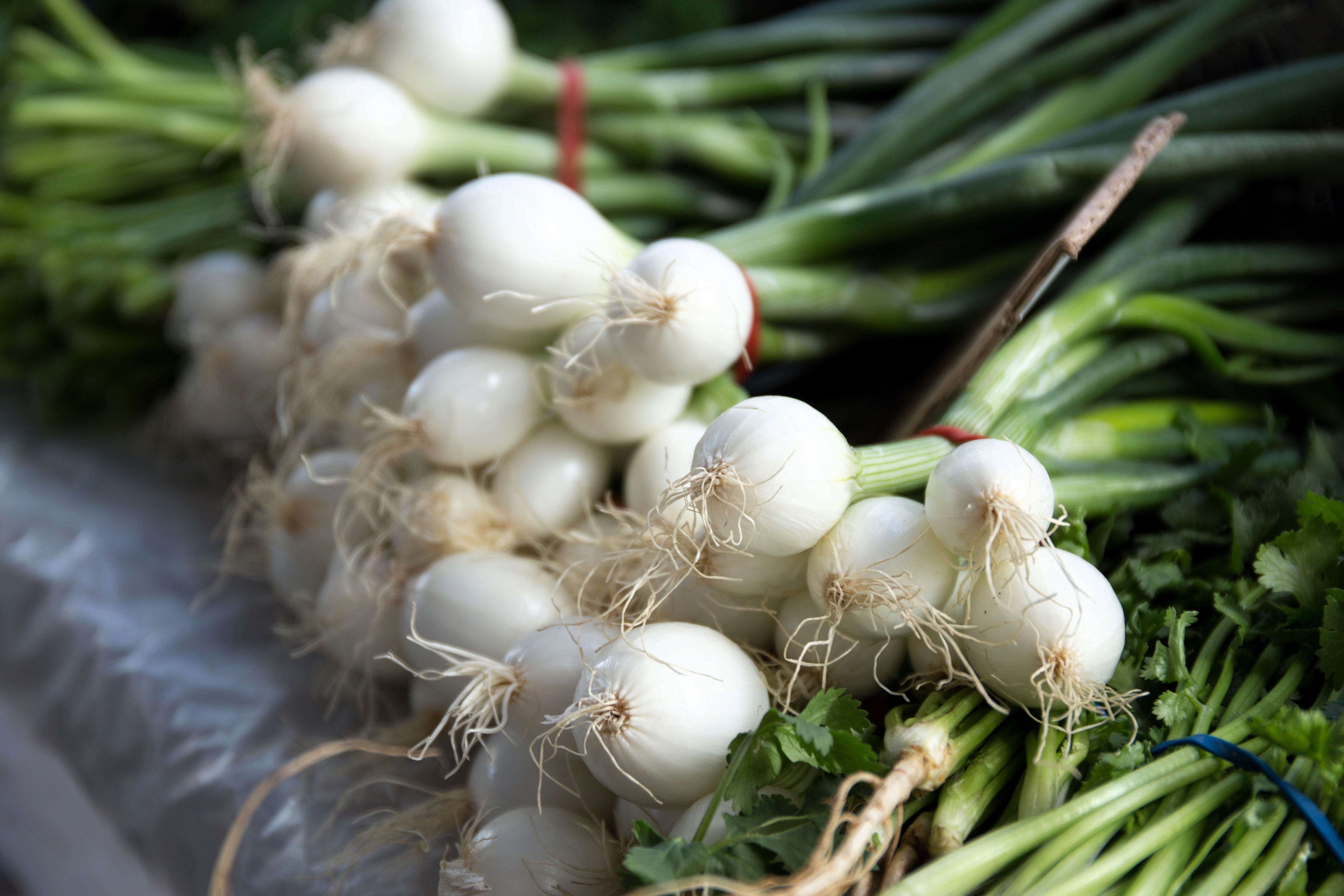 スタイリング剤 onion 500 Crystal White WAX PEARL ONION Allium Cepa Vegetable Seeds