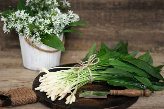 10 RAMSONS / WILD Bear GARLIC Allium Ursinum Vegetable Herb White Flower Seeds