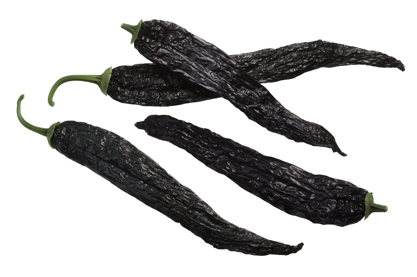 50 PASILLA BAJIO PEPPER Mexican Chilaca Chile Negro Capsicum Annuum Vegetable Seeds